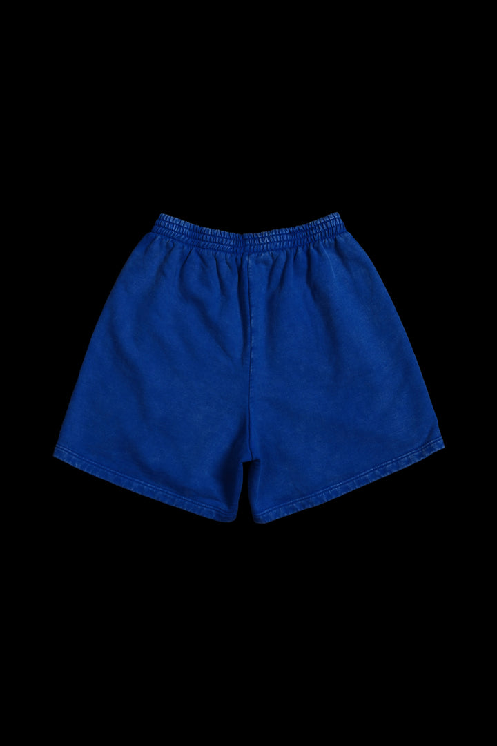 Realm Rising Baggy Shorts in Dodger Blue