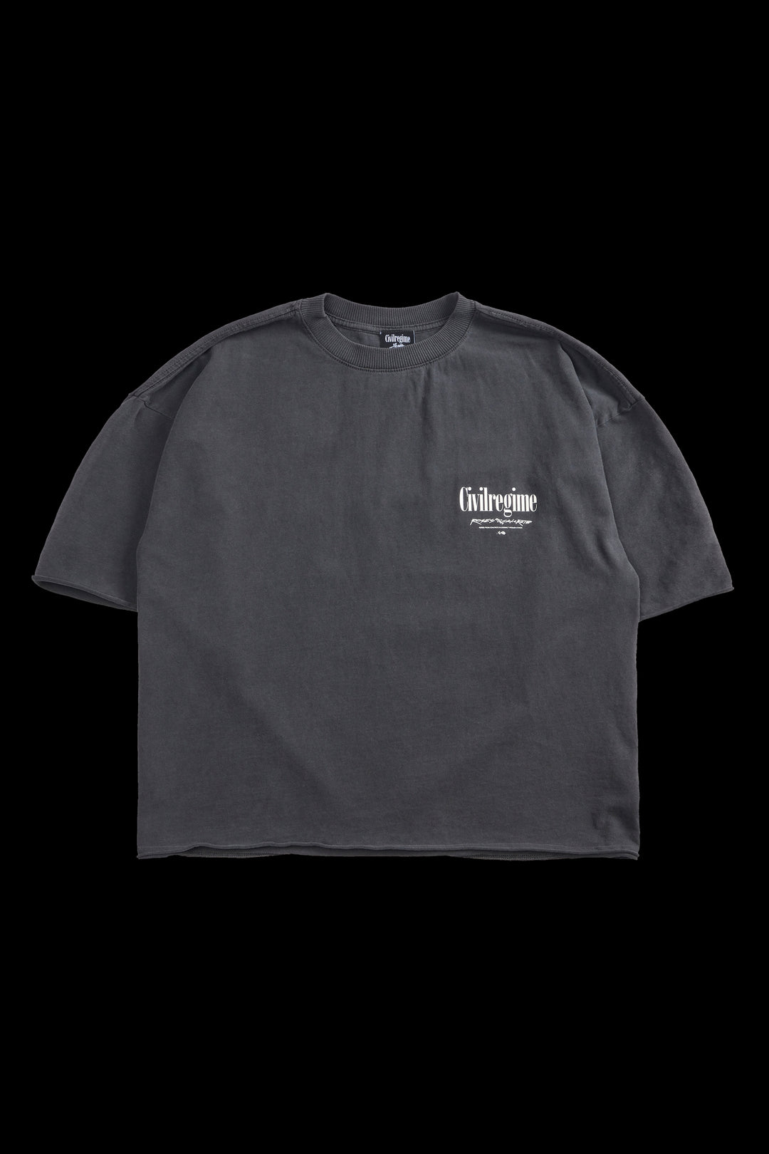 Concrete Rose 199X Cropped Tee in Vintage Ashes