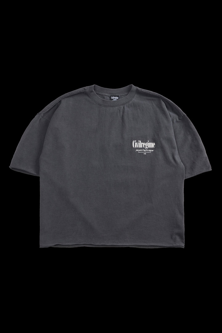 Concrete Rose 199X Cropped Tee in Vintage Ashes