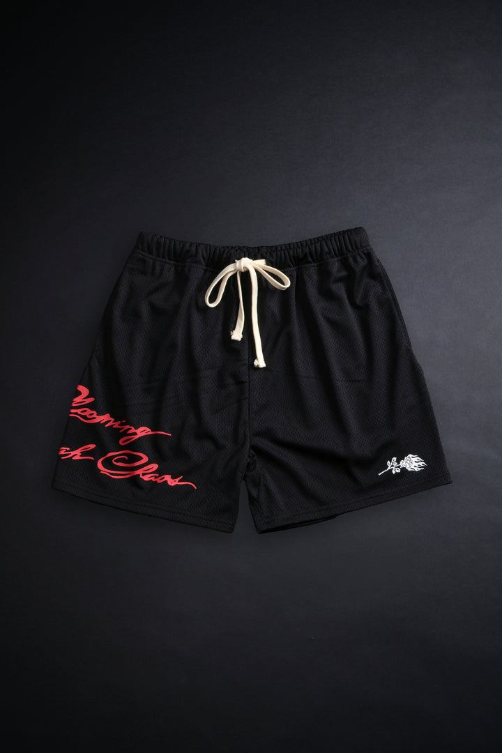 Script Classic Mesh Shorts in Black