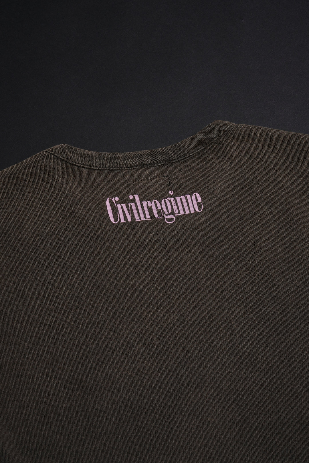 Concrete Sin Baby Tee in Sun Wash Brown