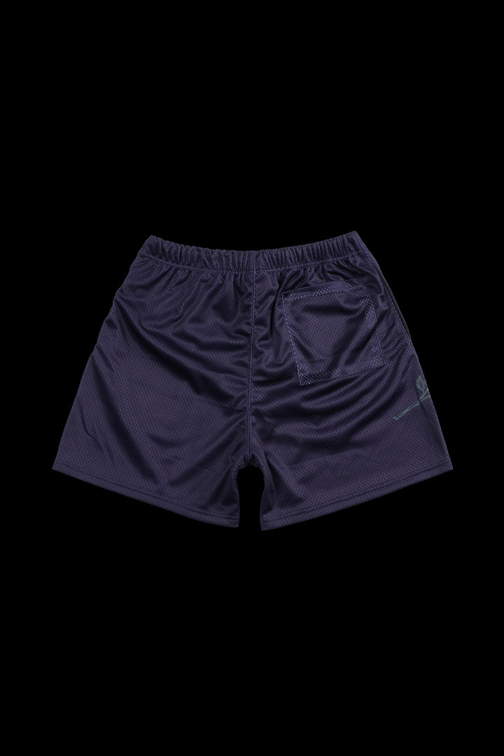Concrete Rose Mesh Shorts in Future Dusk