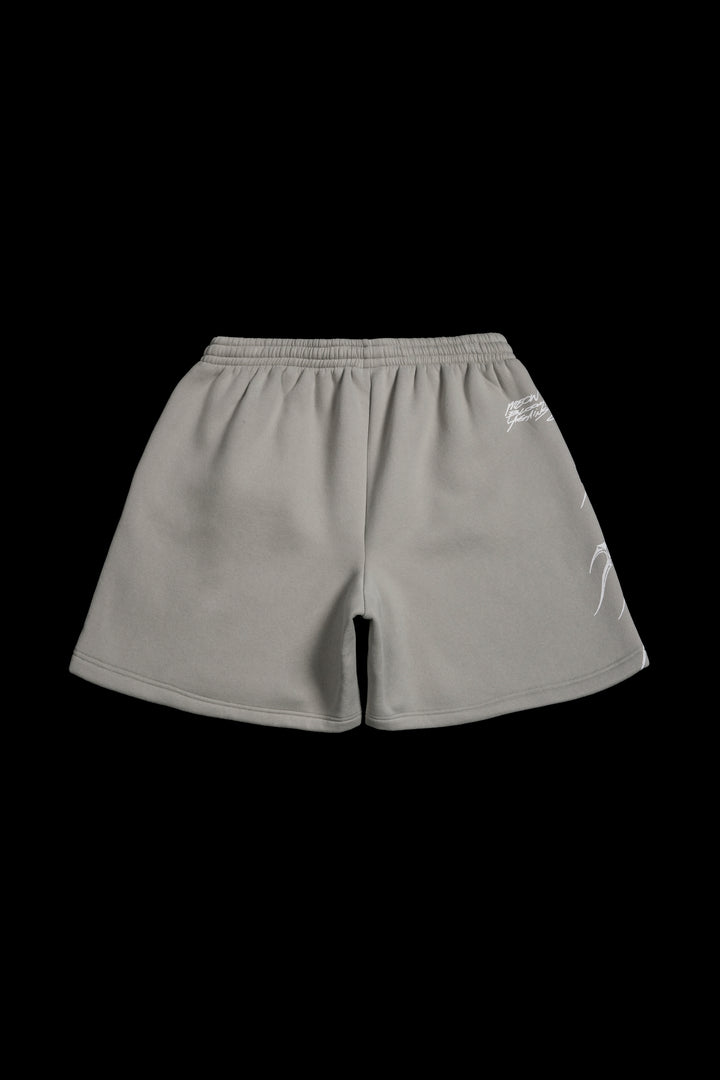 Rose Dealer Thorns Baggy Shorts in Ash Gray