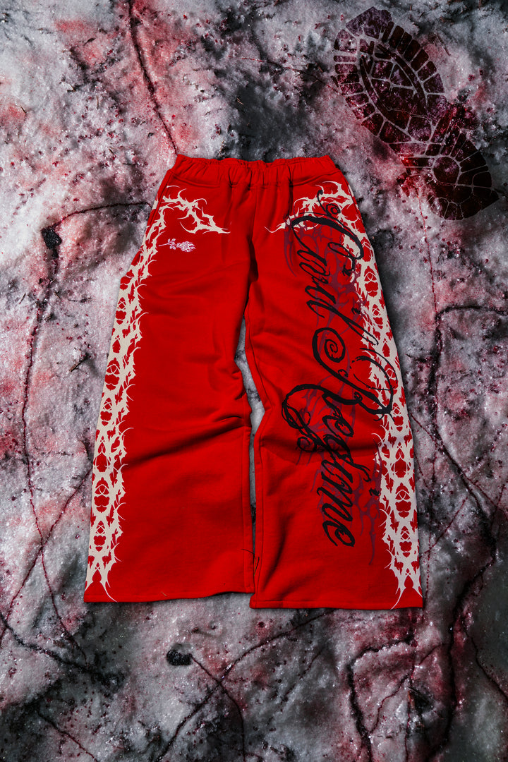 Letter To You Lowrise Wide Leg Pants in Equestrian Red