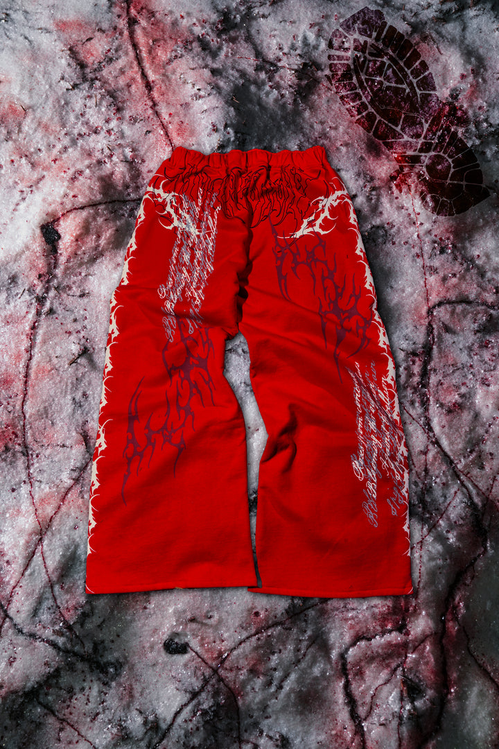 Letter To You Lowrise Wide Leg Pants in Equestrian Red