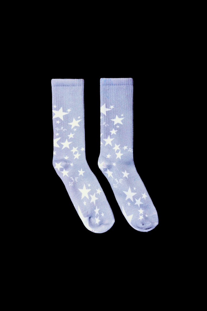 Rose Gazing Socks in Heather Gray