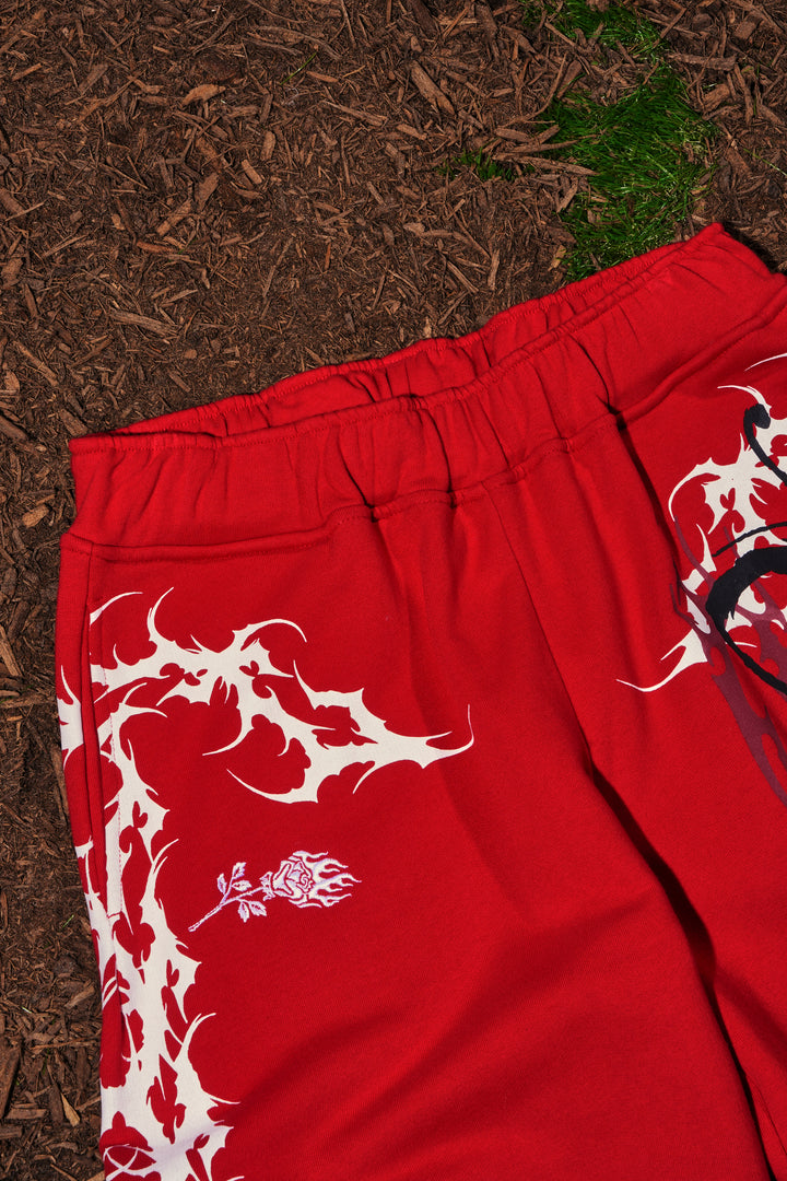 Letter To You Lowrise Wide Leg Pants in Equestrian Red