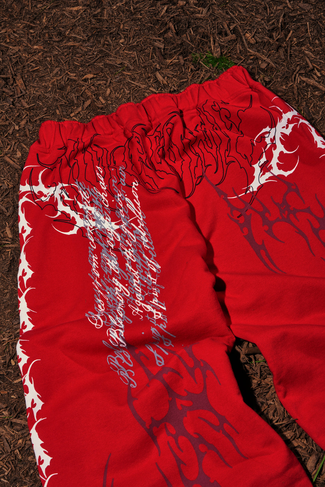 Letter To You Lowrise Wide Leg Pants in Equestrian Red