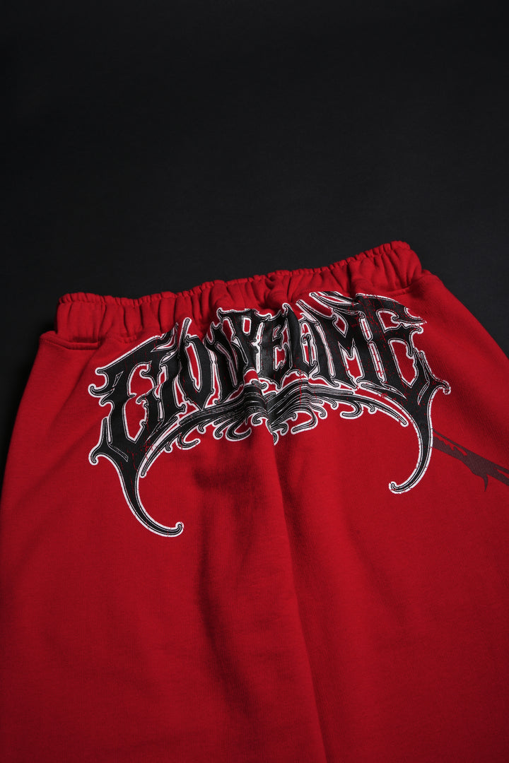 Bloom &amp; Conquer Ultra Wide Leg Pants in Equestrian Red