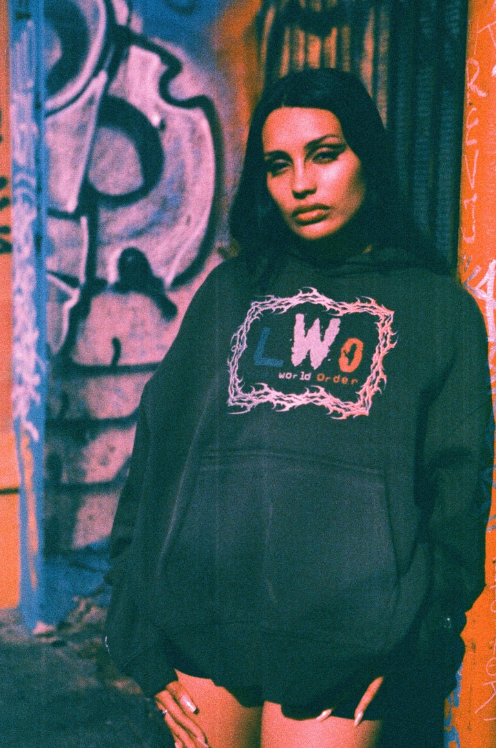 LWO Forever Forever Hoodie in Spray Wash Brown