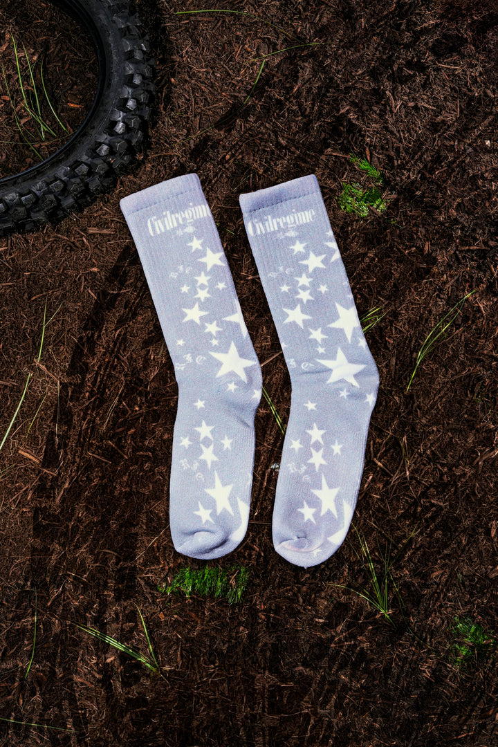 Rose Gazing Socks in Heather Gray