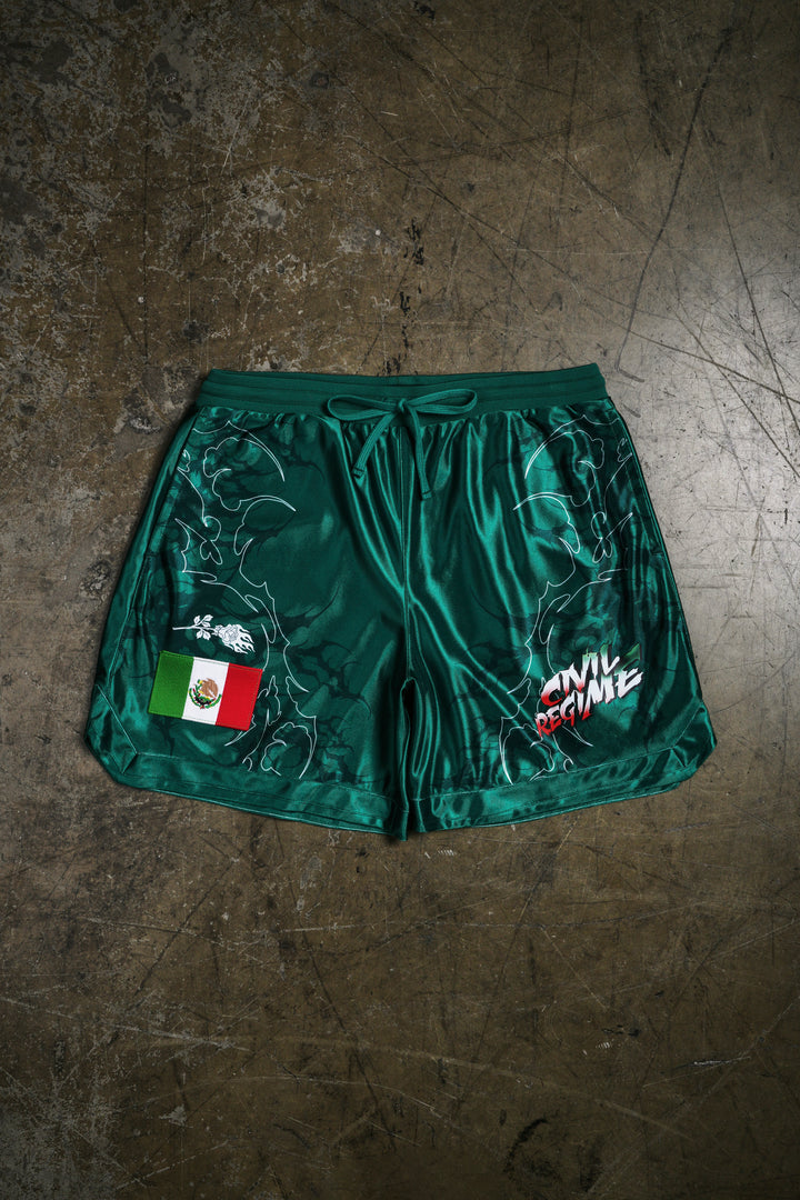 Tomahawk Buster Classic Soccer Shorts in Green