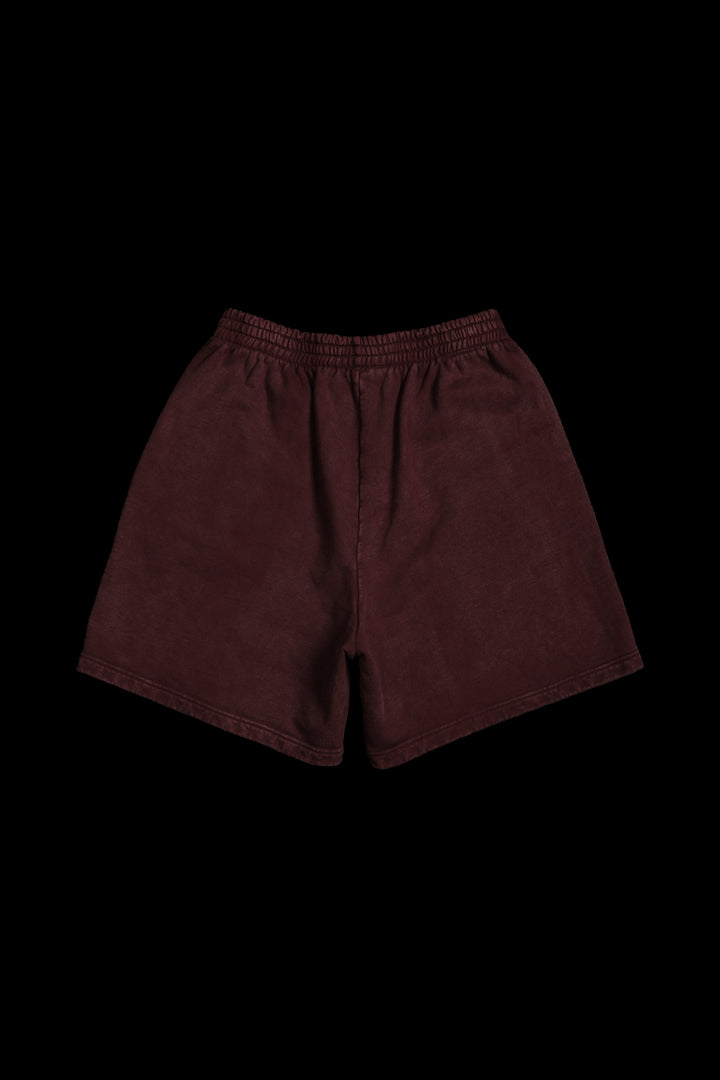 Realm Rising Baggy Shorts in Deep Red