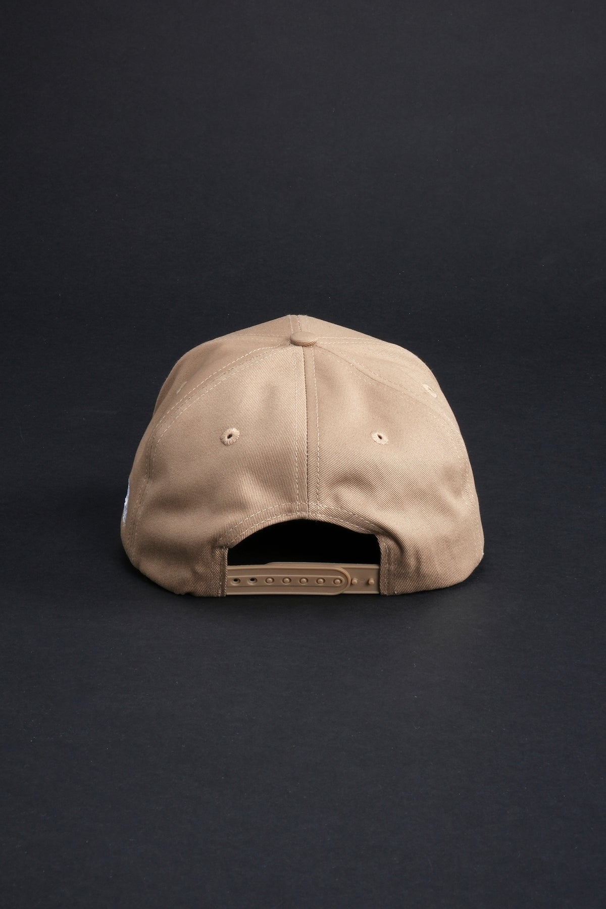 Blooming Through Chaos 5 Panel Snapback Hat in Sand – Civil Regime