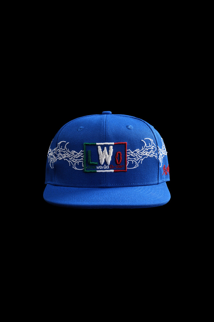 LWO Forever Fitted Hat in Dodger Blue