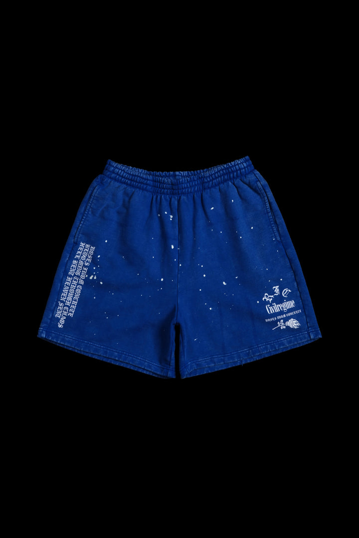 Realm Rising Baggy Shorts in Dodger Blue