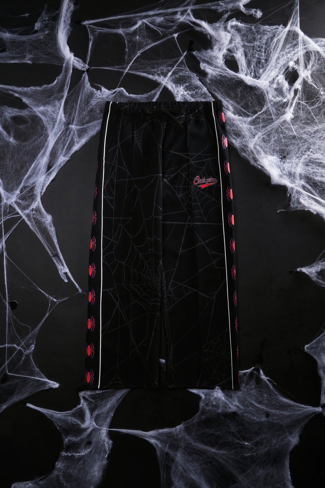Spider Chaos Track Pants in Black