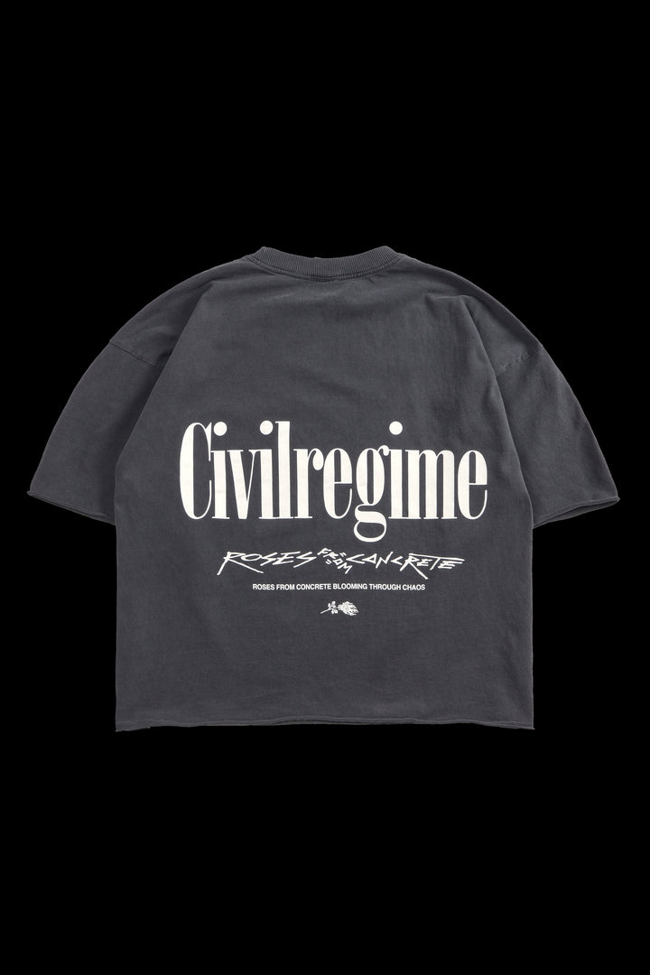 Concrete Rose 199X Cropped Tee in Vintage Ashes