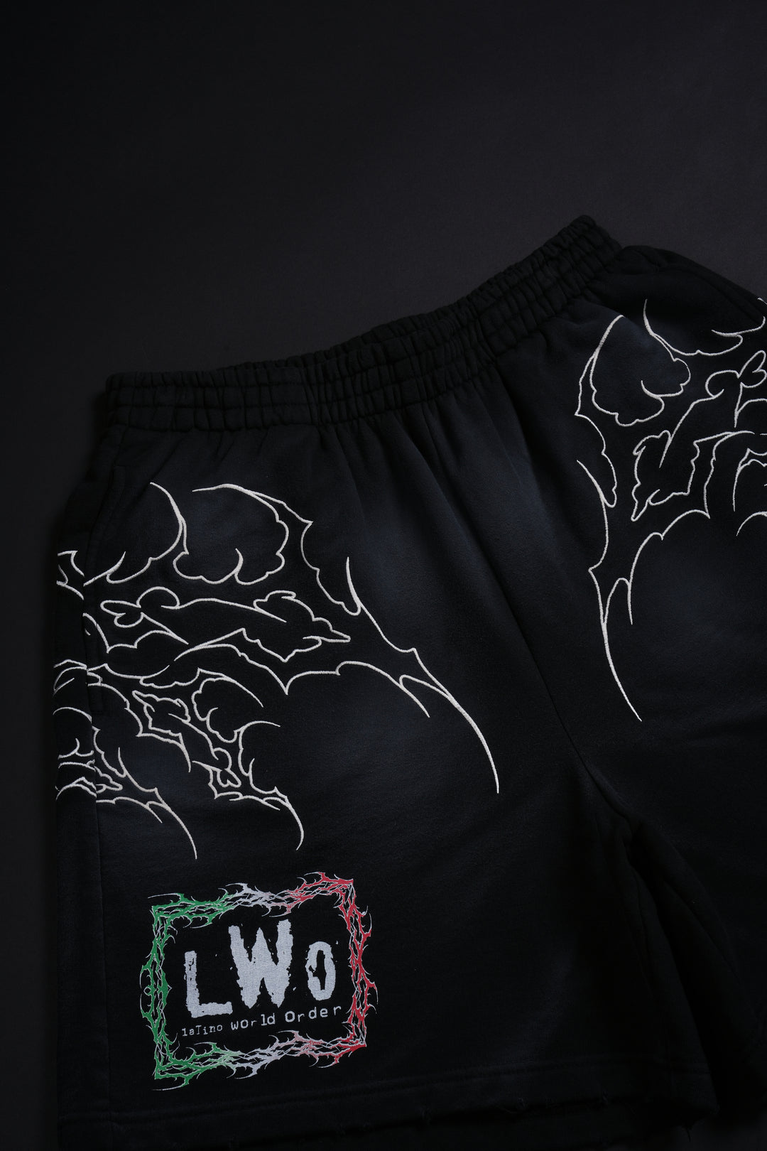 LWO x Civil Thorns Baggy Shorts in Spray Wash Black