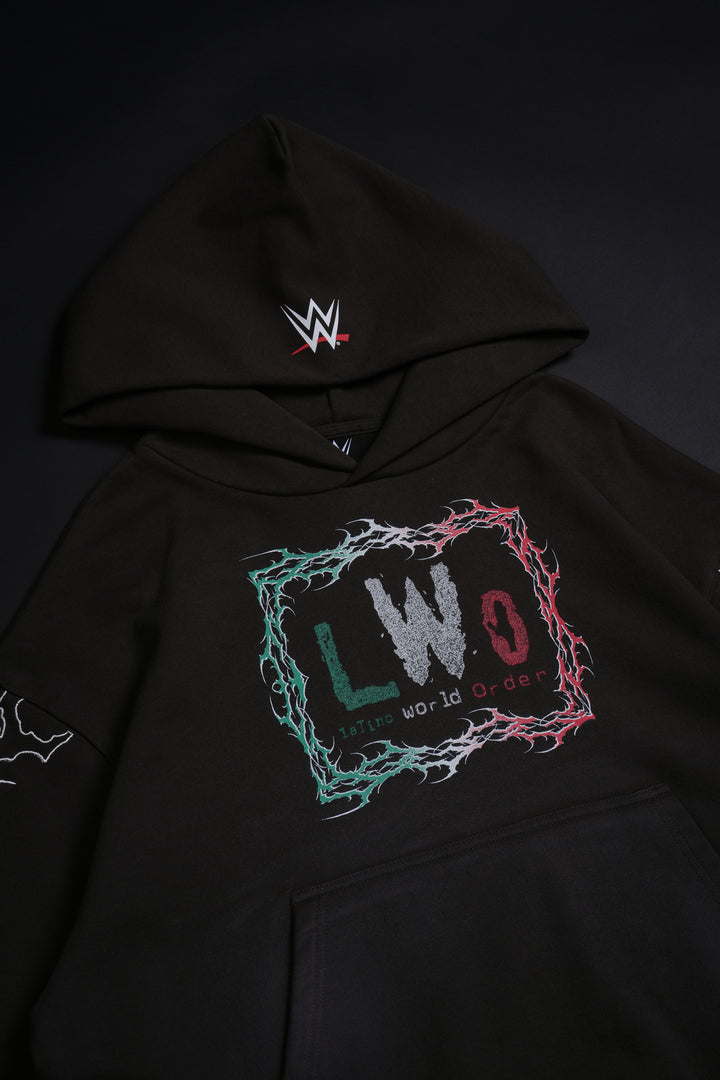 LWO Forever Forever Hoodie in Spray Wash Brown