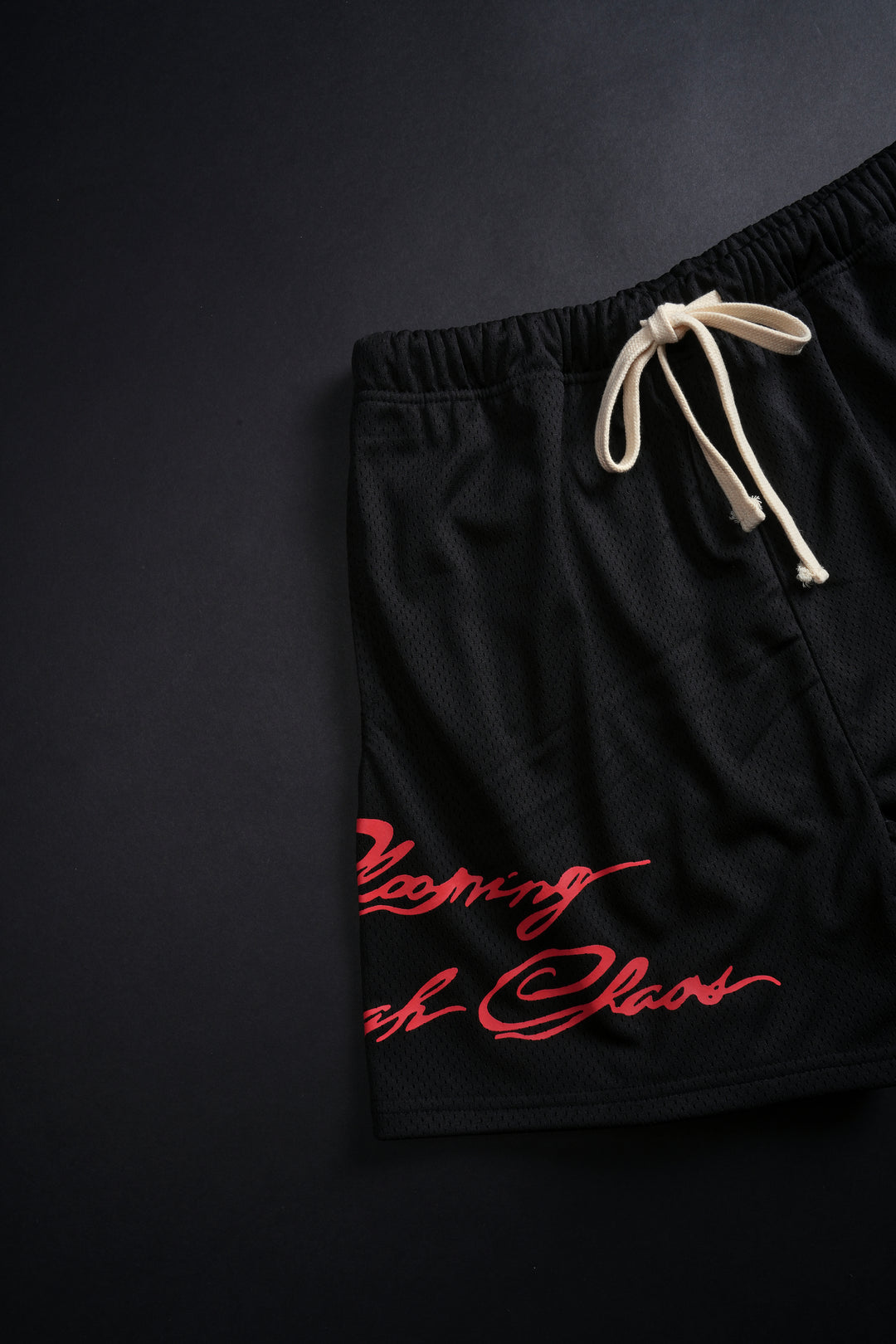 Script Classic Mesh Shorts in Black