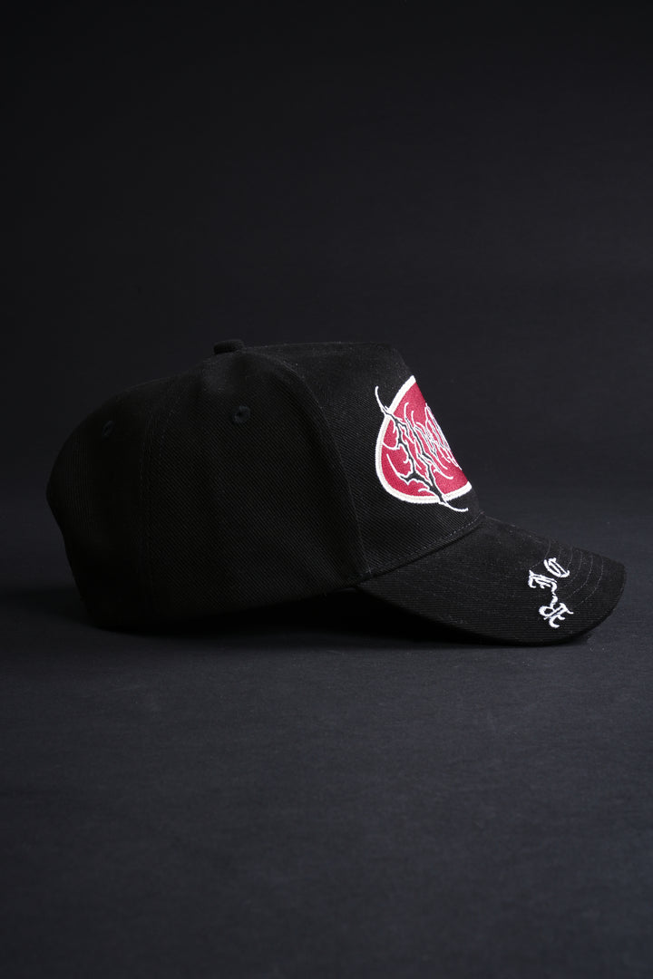 Cold Front 5 Panel Snapback Hat in Blue/Black