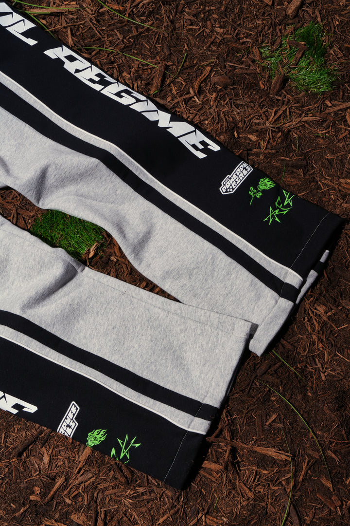 Citizens Of Townsville Eternal Wide Leg Fleece Pants in Heather Gray