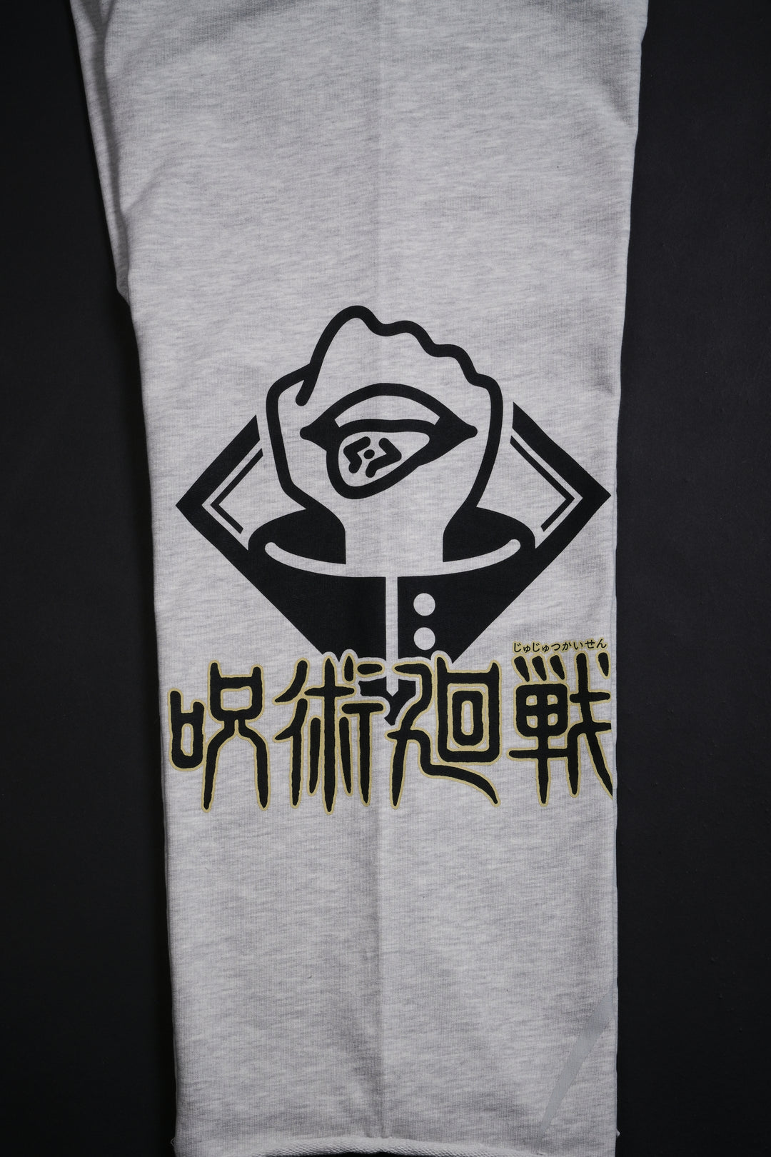 Cursed Energy Eternal Wide Leg Pants in Heather Gray