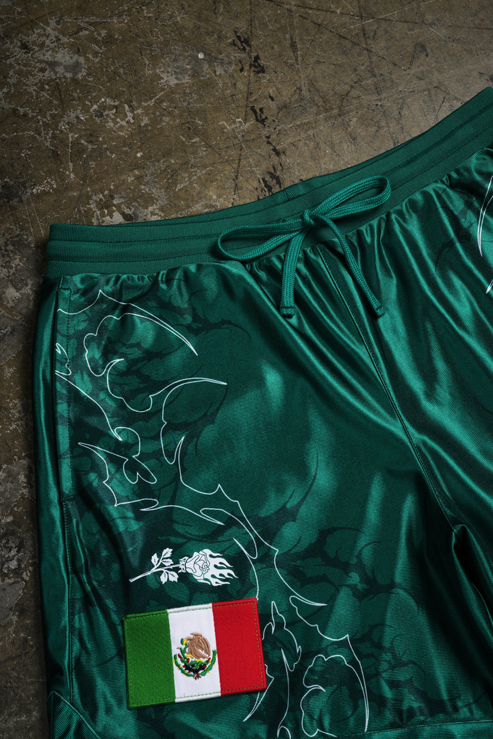 Tomahawk Buster Classic Soccer Shorts in Green