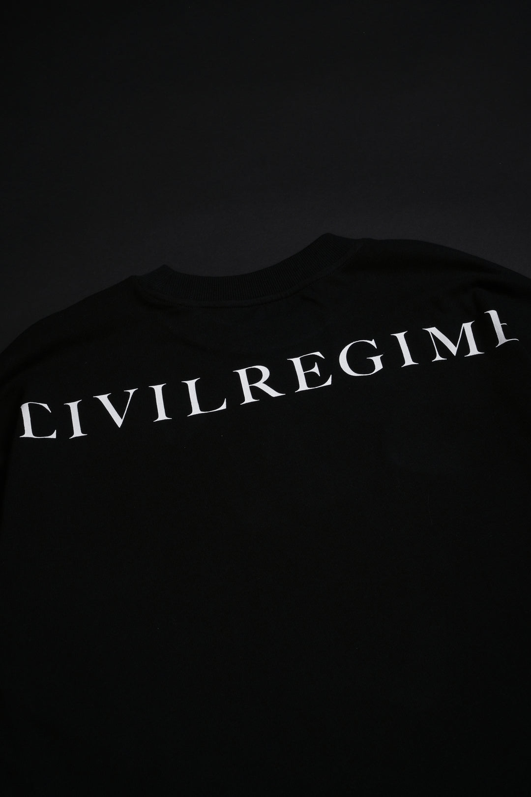 Cat Statue American Classic Oversized Tee in Black