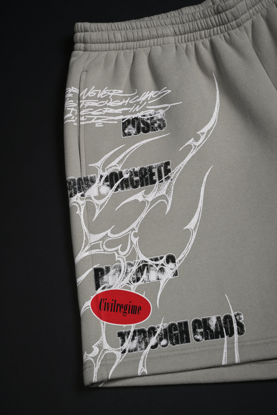 Rose Dealer Thorns Baggy Shorts in Ash Gray