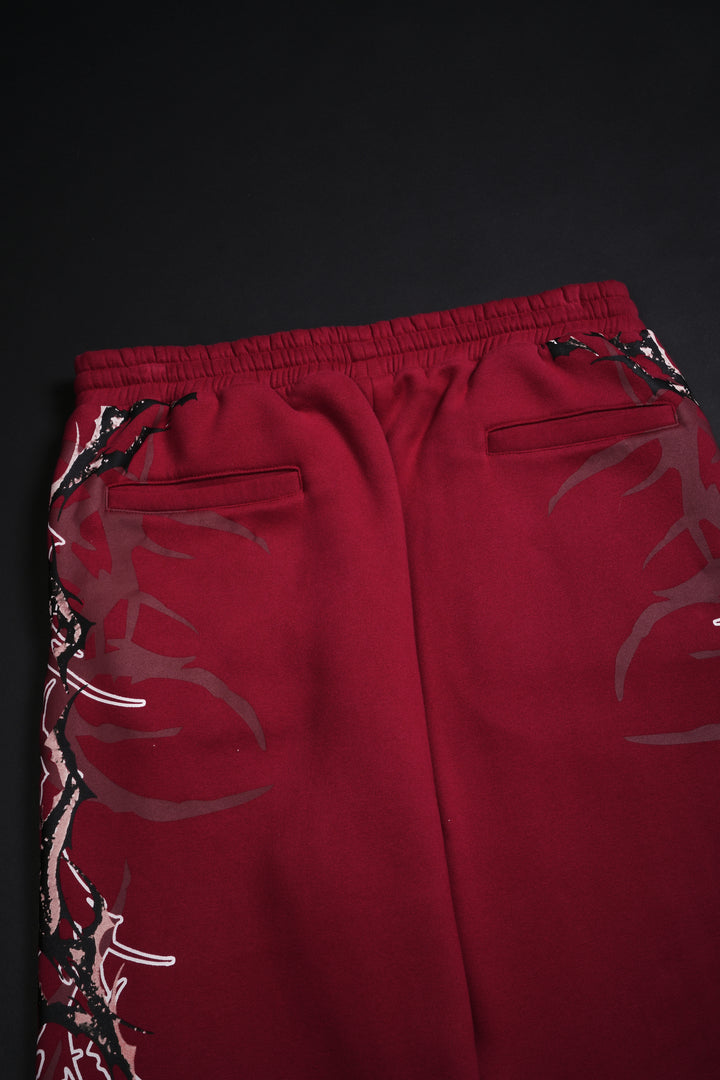 Kindred Wraith Baggy Pants in Maroon