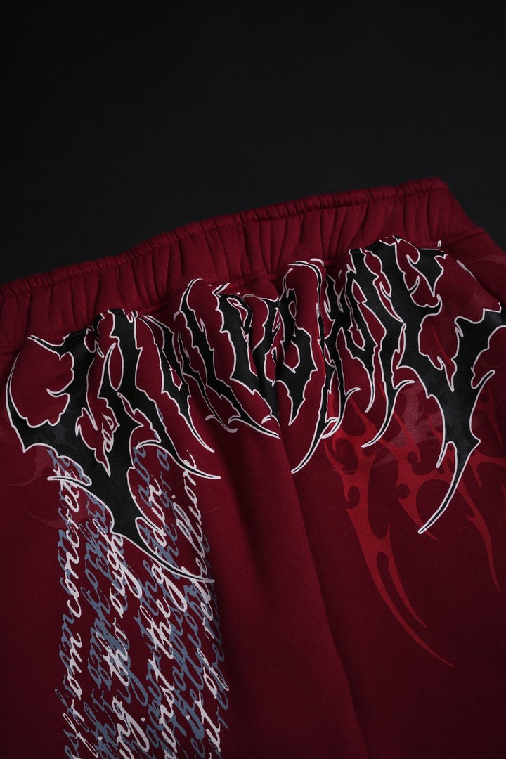 Letter To You Lowrise Wide Leg Pants in Dark Red