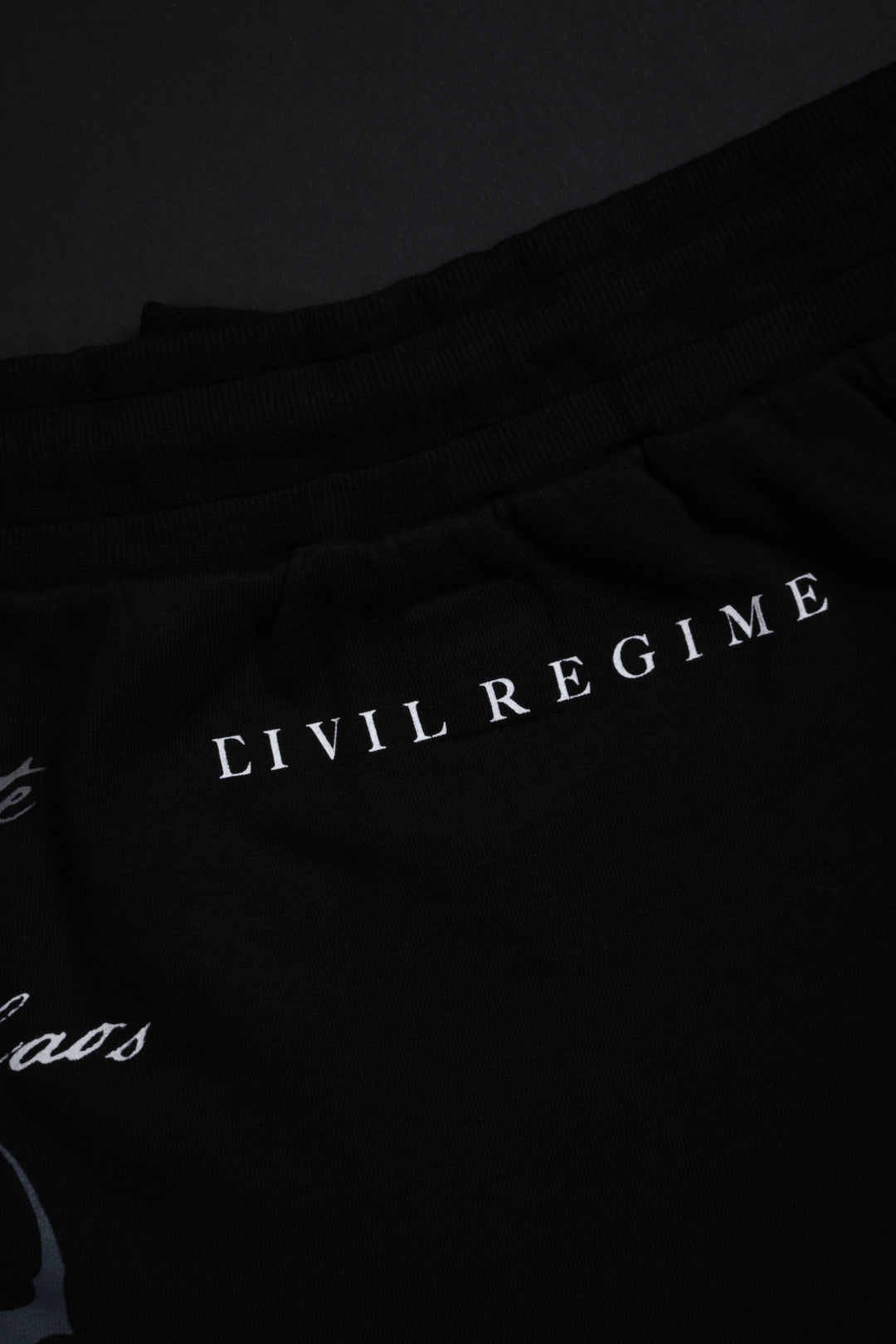 Deadly Alliance Mini Skirt in Black