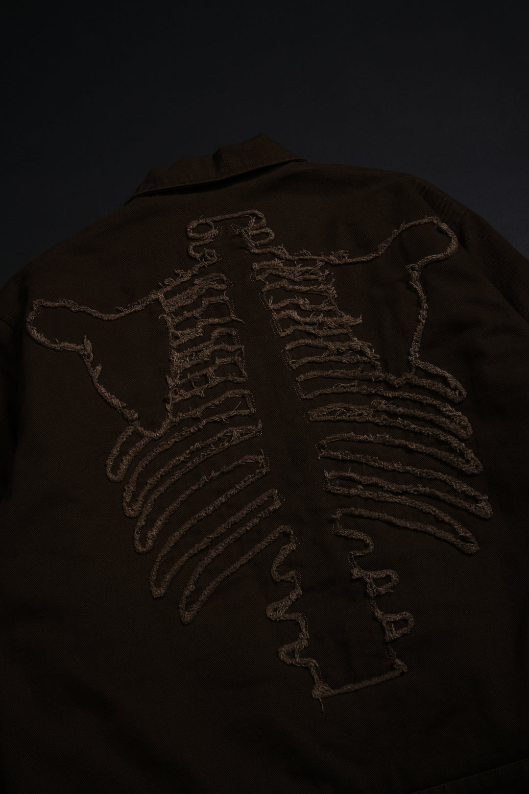 I Have A Dark Secret Work Jacket in Brown