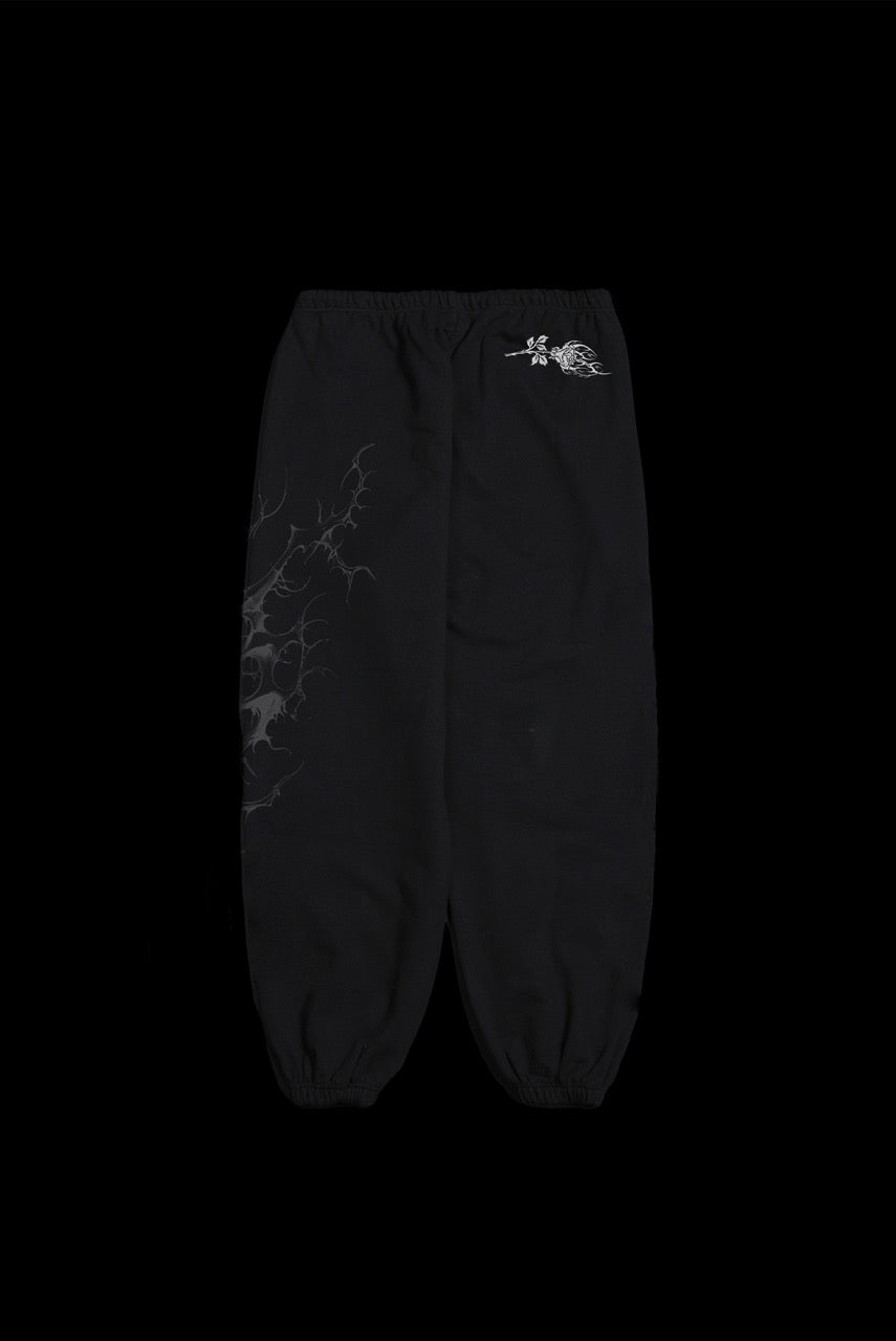 February Skies Lounger Sweat Pants in Black
