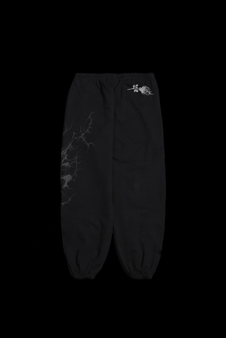 February Skies Lounger Sweat Pants in Black