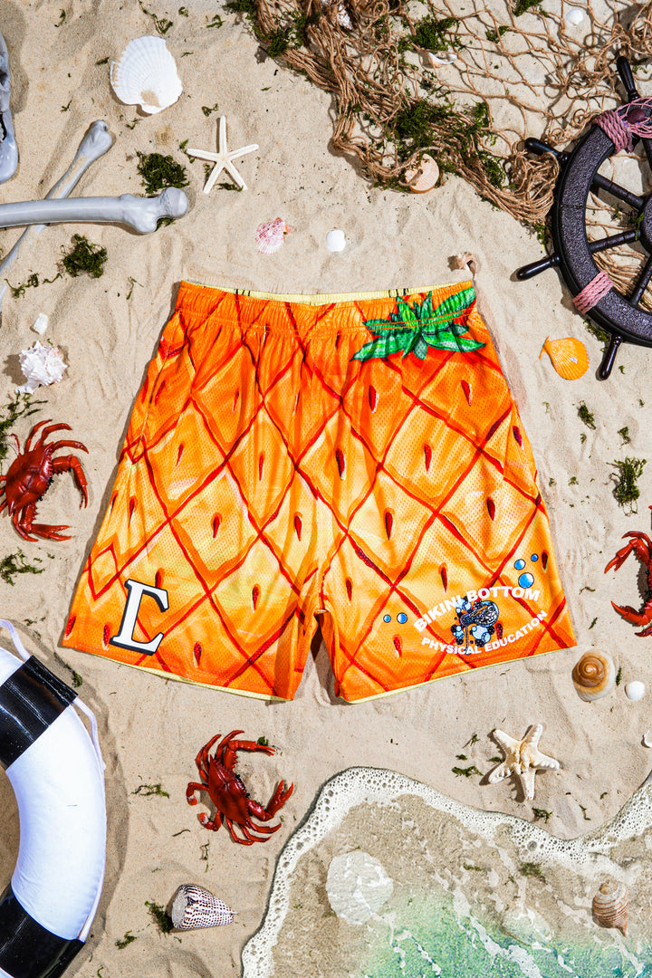 Jellyfish Drills Reversible Mesh Shorts in Yellow Orange